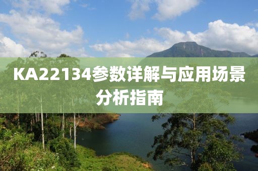 KA22134参数详解与应用场景分析指南