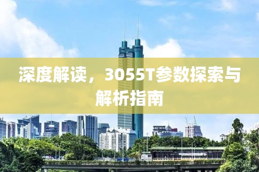 深度解读，3055T参数探索与解析指南