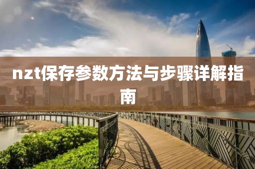 nzt保存参数方法与步骤详解指南