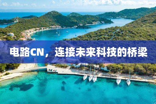 电路CN，连接未来科技的桥梁
