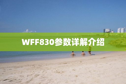 WFF830参数详解介绍