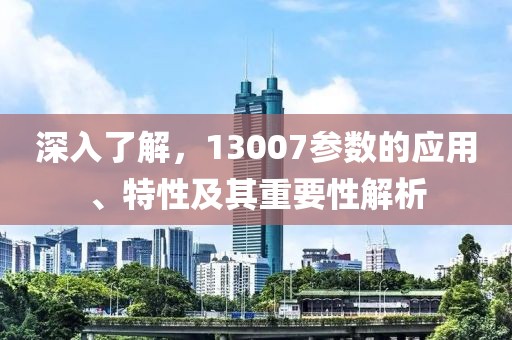 深入了解，13007参数的应用、特性及其重要性解析