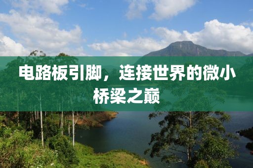 电路板引脚，连接世界的微小桥梁之巅