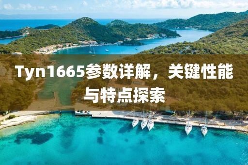 Tyn1665参数详解，关键性能与特点探索