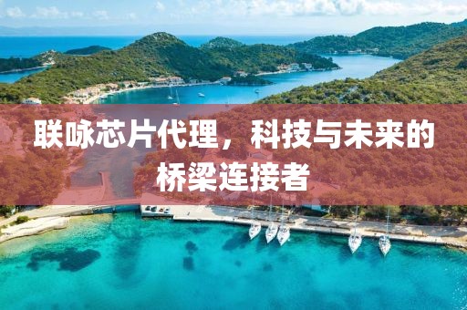 联咏芯片代理，科技与未来的桥梁连接者