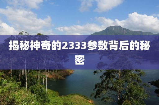 揭秘神奇的2333参数背后的秘密