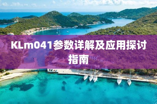 KLm041参数详解及应用探讨指南