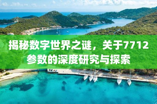 揭秘数字世界之谜，关于7712参数的深度研究与探索