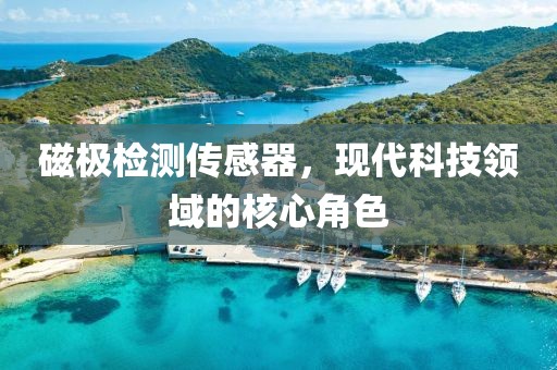 磁极检测传感器，现代科技领域的核心角色