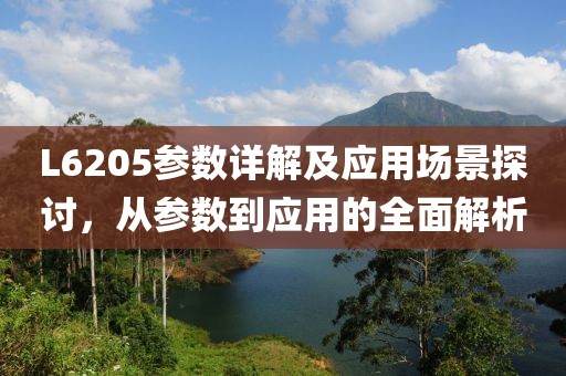 L6205参数详解及应用场景探讨，从参数到应用的全面解析