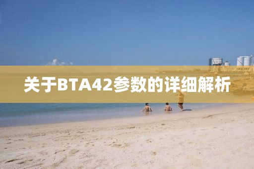 关于BTA42参数的详细解析