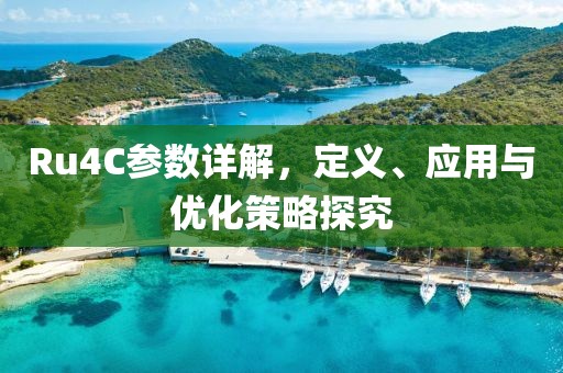 Ru4C参数详解，定义、应用与优化策略探究