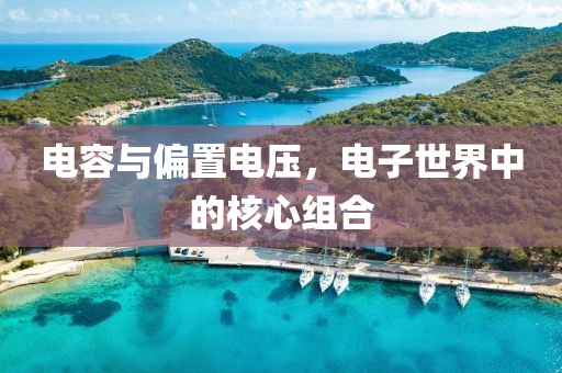 电容与偏置电压，电子世界中的核心组合