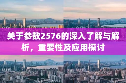 关于参数2576的深入了解与解析，重要性及应用探讨
