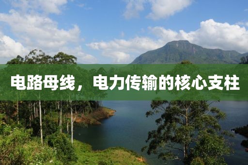 电路母线，电力传输的核心支柱