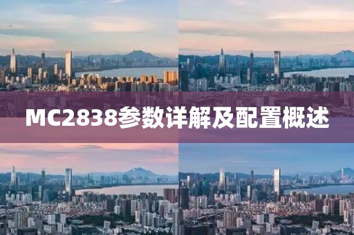 MC2838参数详解及配置概述