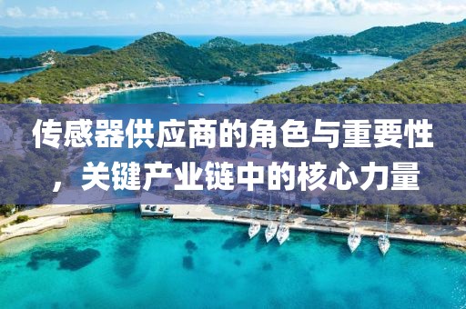 传感器供应商的角色与重要性，关键产业链中的核心力量