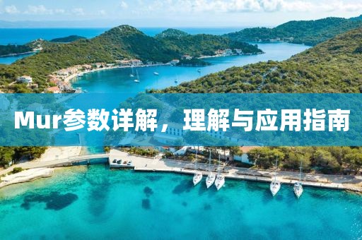 Mur参数详解，理解与应用指南