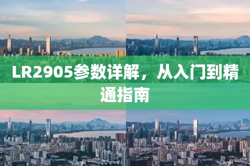 LR2905参数详解，从入门到精通指南