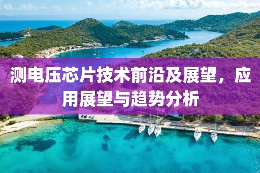 测电压芯片技术前沿及展望，应用展望与趋势分析