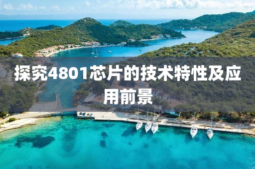 探究4801芯片的技术特性及应用前景