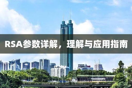 RSA参数详解，理解与应用指南