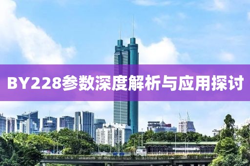 BY228参数深度解析与应用探讨