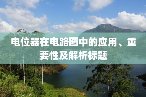 电位器在电路图中的应用、重要性及解析标题