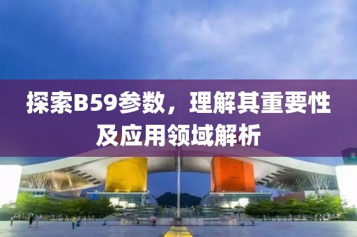 探索B59参数，理解其重要性及应用领域解析