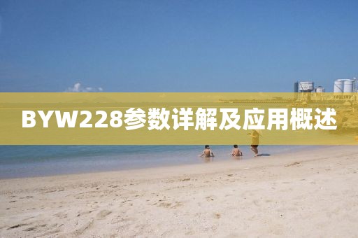 BYW228参数详解及应用概述