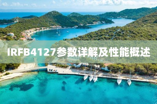 IRFB4127参数详解及性能概述