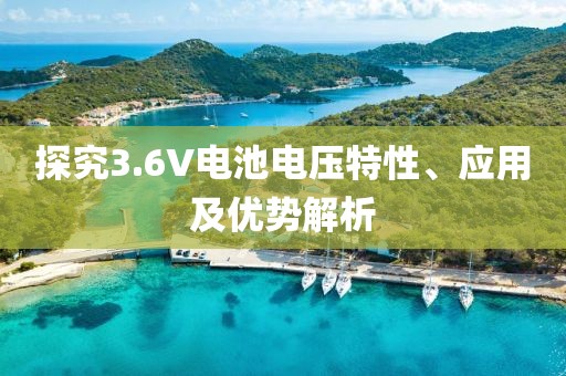 探究3.6V电池电压特性、应用及优势解析