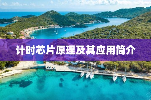 计时芯片原理及其应用简介