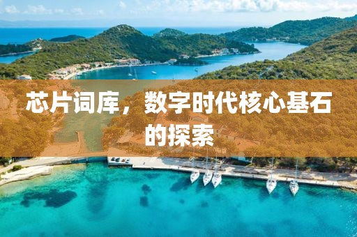 芯片词库，数字时代核心基石的探索