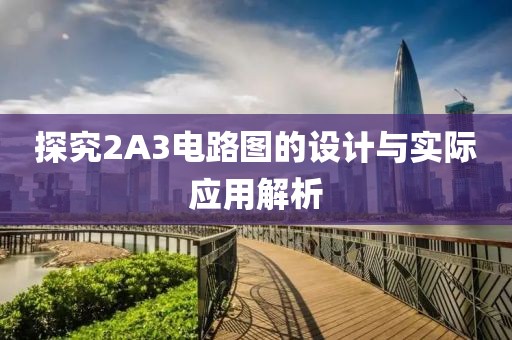 探究2A3电路图的设计与实际应用解析