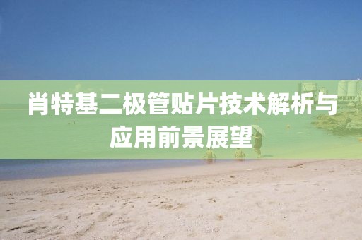 肖特基二极管贴片技术解析与应用前景展望