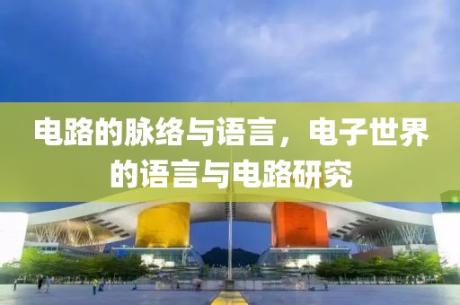 电路的脉络与语言，电子世界的语言与电路研究