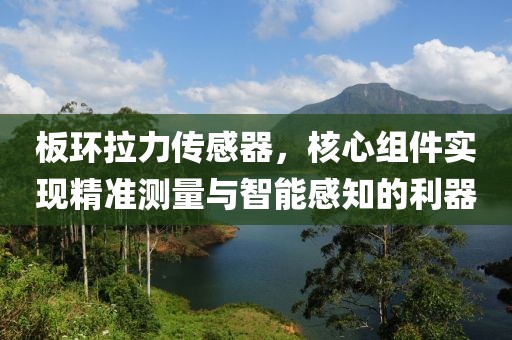 板环拉力传感器，核心组件实现精准测量与智能感知的利器