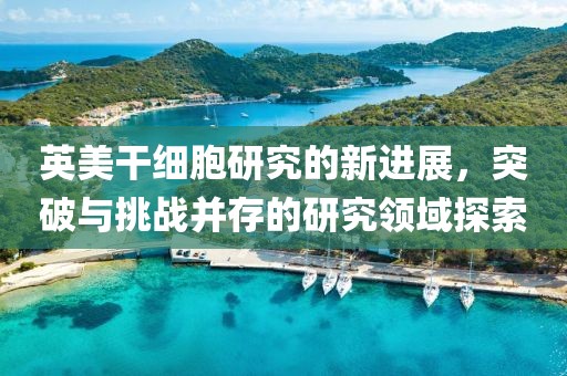 英美干细胞研究的新进展，突破与挑战并存的研究领域探索