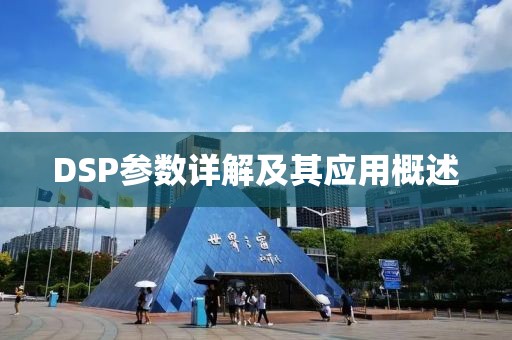 DSP参数详解及其应用概述