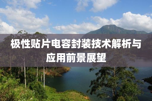 极性贴片电容封装技术解析与应用前景展望