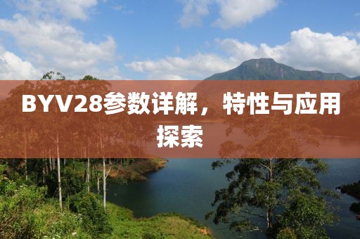 BYV28参数详解，特性与应用探索