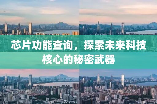芯片功能查询，探索未来科技核心的秘密武器