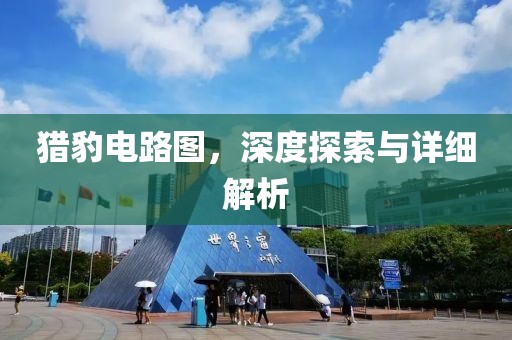 猎豹电路图，深度探索与详细解析