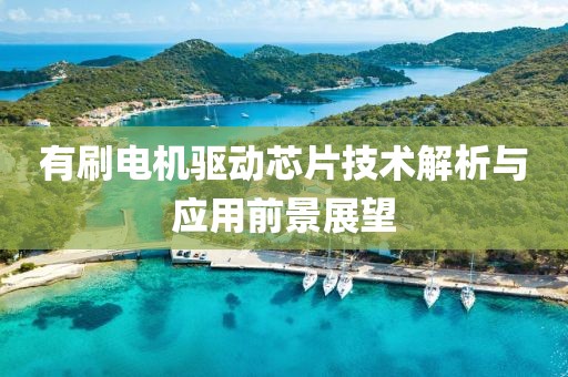 有刷电机驱动芯片技术解析与应用前景展望