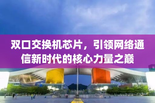 双口交换机芯片，引领网络通信新时代的核心力量之巅
