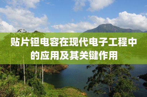 贴片钽电容在现代电子工程中的应用及其关键作用
