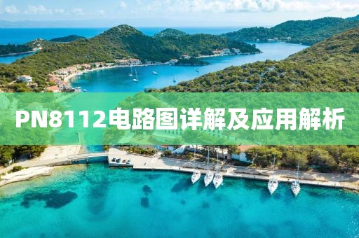 PN8112电路图详解及应用解析