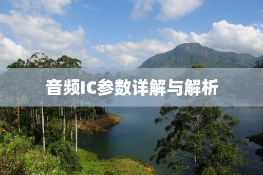 音频IC参数详解与解析