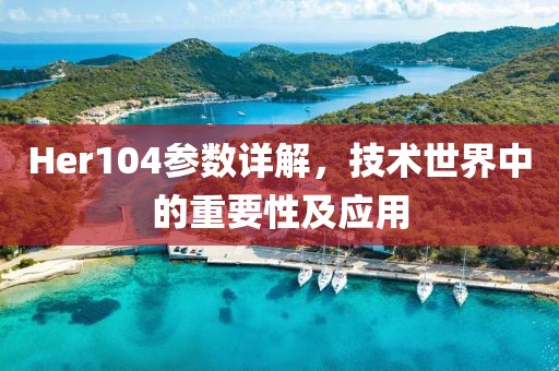 Her104参数详解，技术世界中的重要性及应用